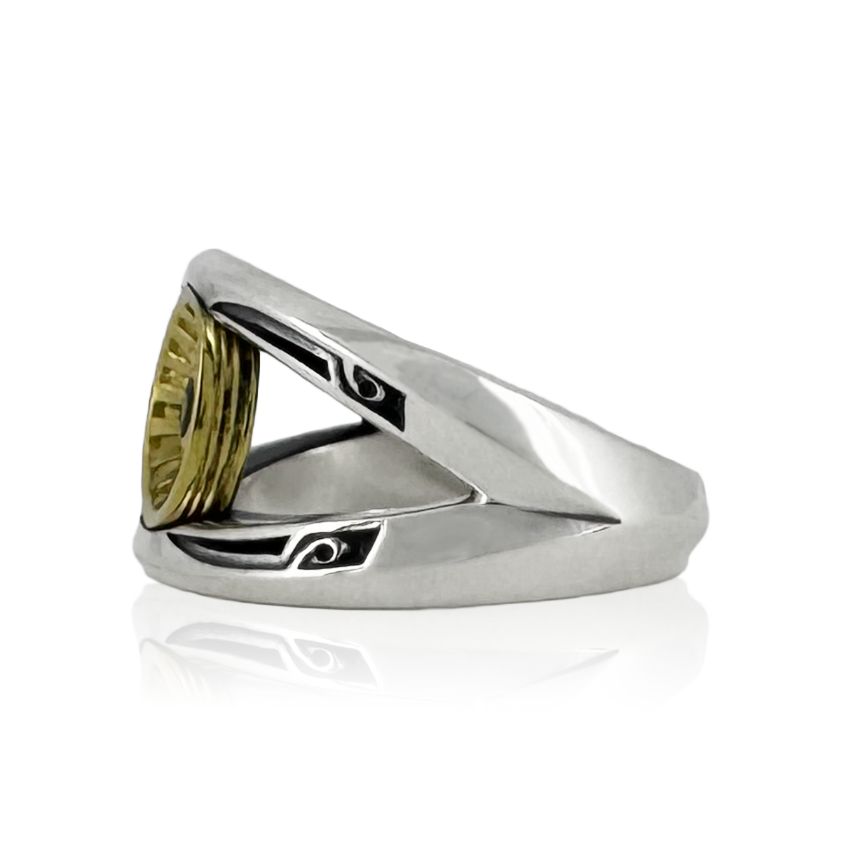 PERVIDERE RING