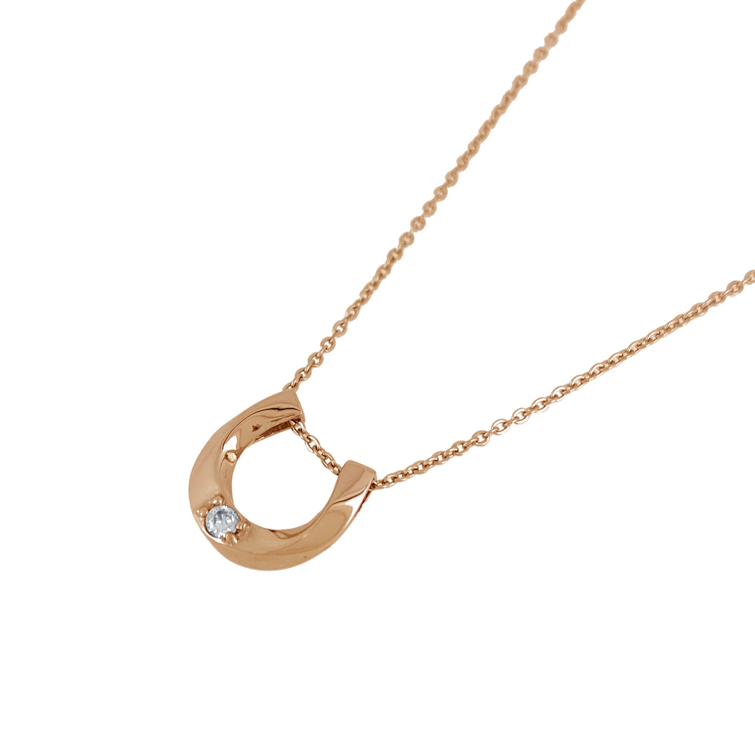 Horseshoe necklace