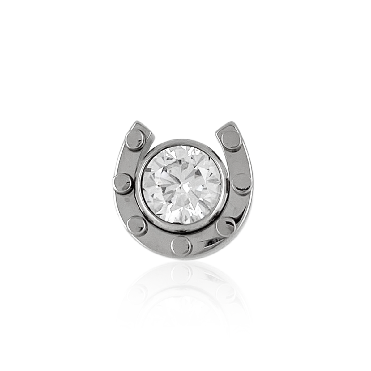 Horseshoe earrings